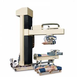 TOUGUY單柱式(shì)碼垛機(ji)